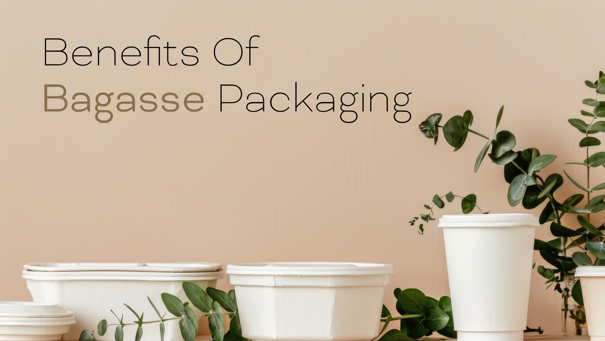 Benefits of Bagasse Packaging